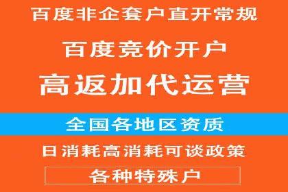 SEM服务优势案例分享